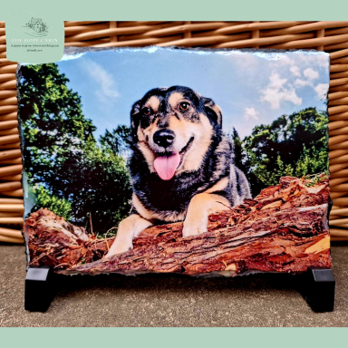 Personalised Pet Slate Photo